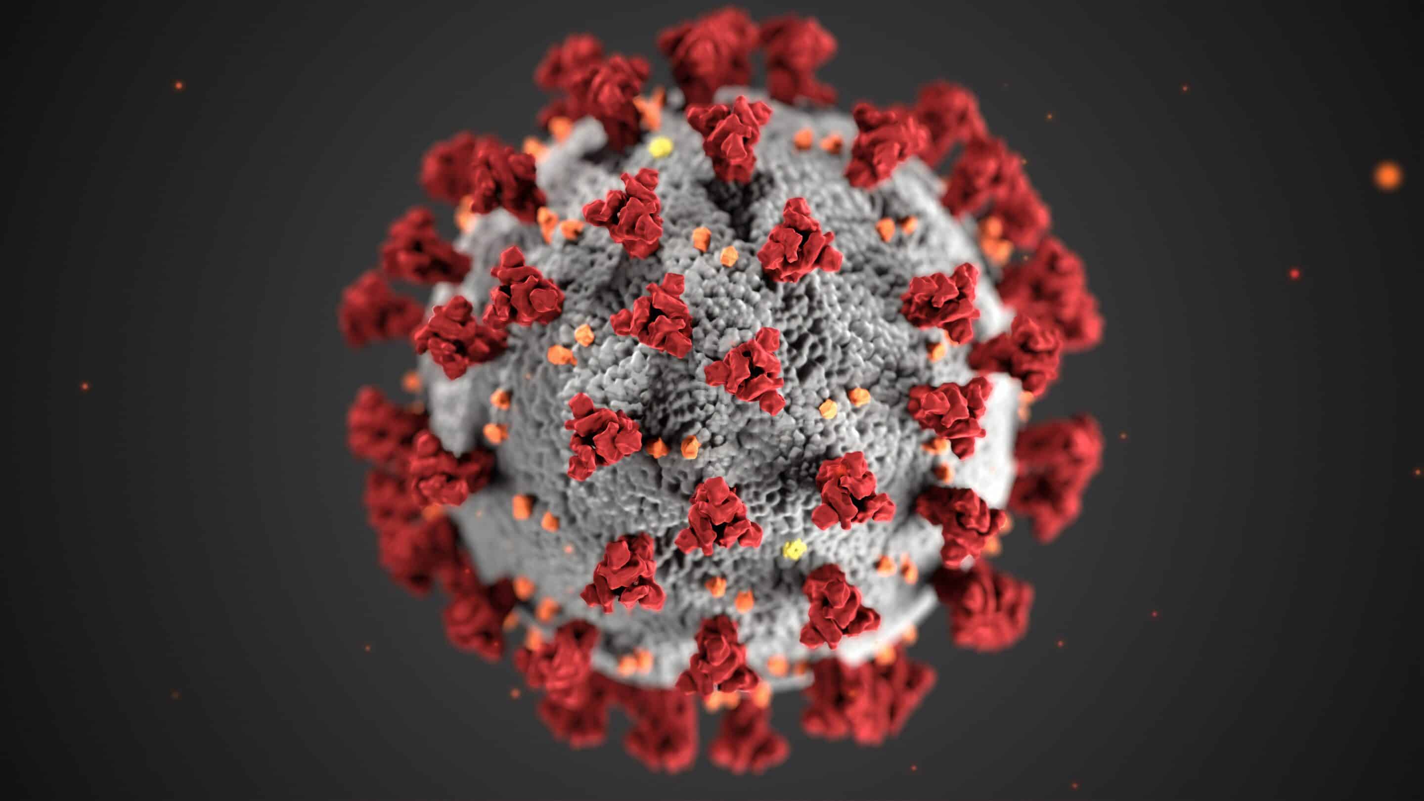 Corona Virus