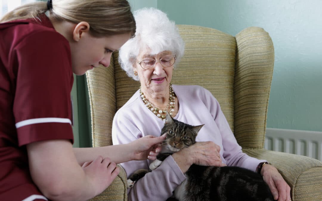 Respite Care 101: Helpful Info
