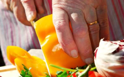Caregivers Provide Healthy Diets